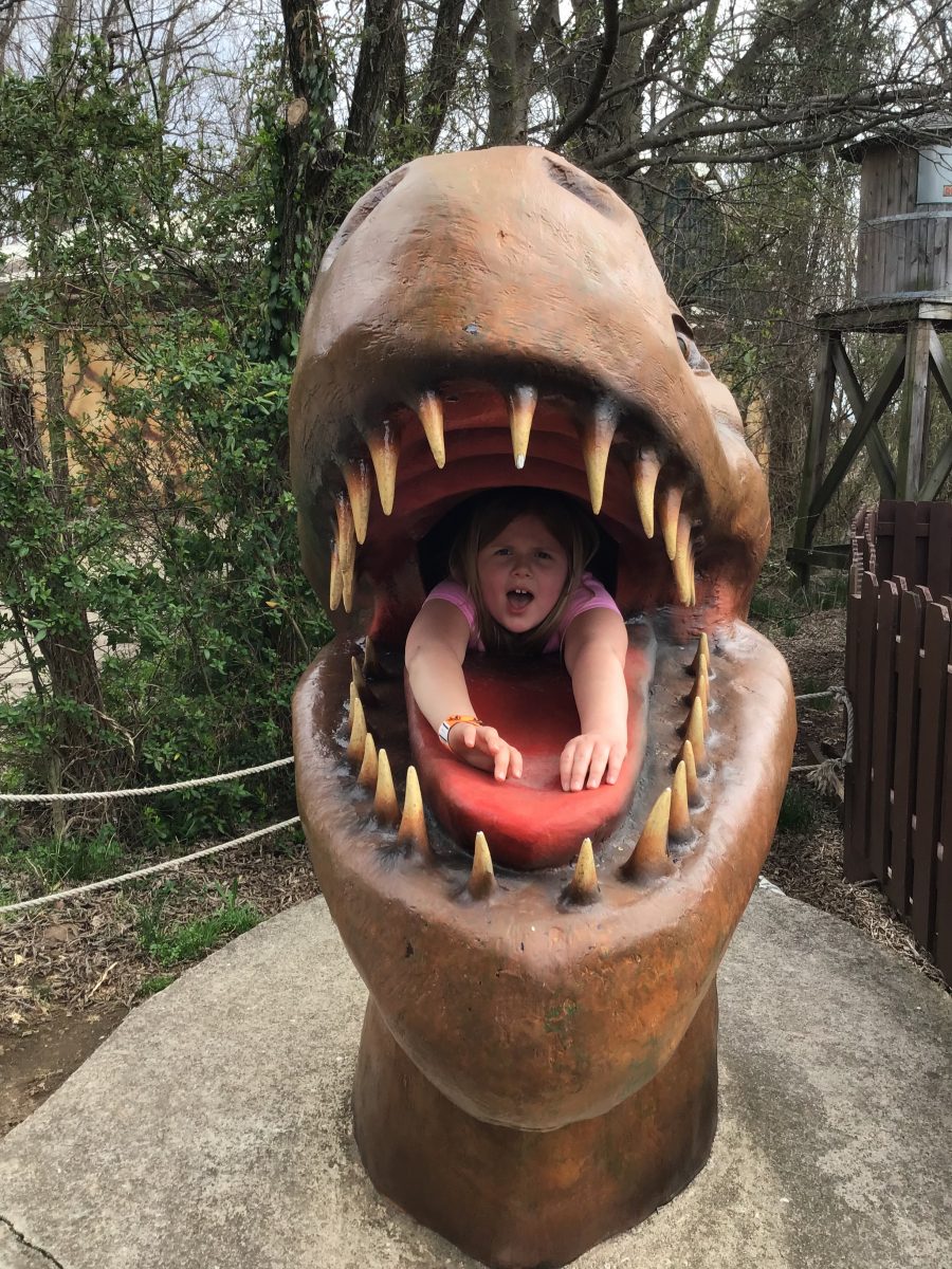 Visit to Dinosaur World